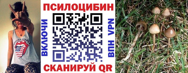 мега вход  Тюкалинск  это какой сайт  наркота  Псилоцибиновые грибы мухоморы 